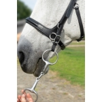 Runa Combi Sidepull Or Bitted Bridle & Reins